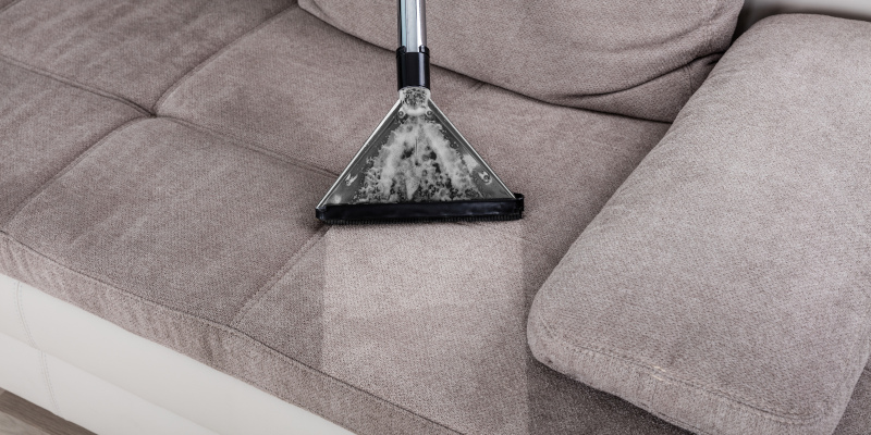 4 Reasons You Should Trust Us For Your Furniture Cleaning